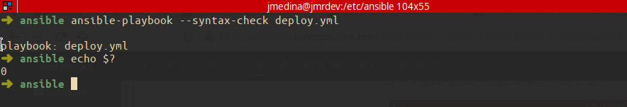 Ansible playbook check