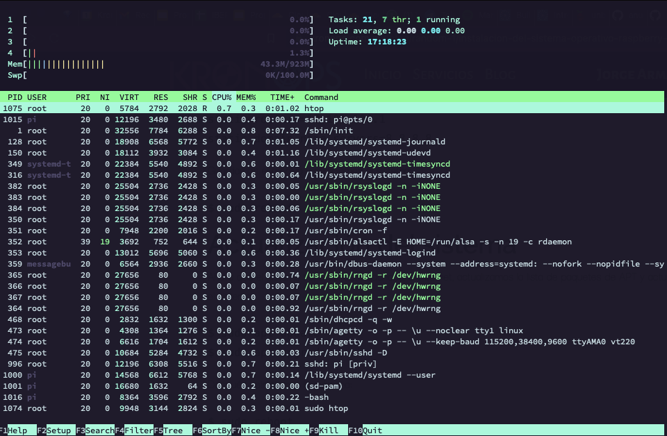 Raspberry Pi shell htop
